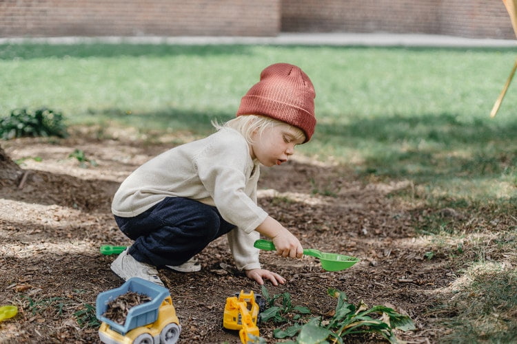 plant garden