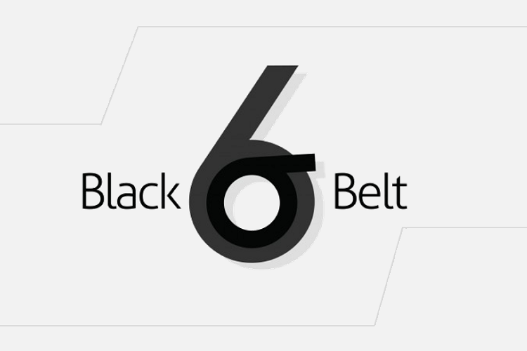 six sigma black belt