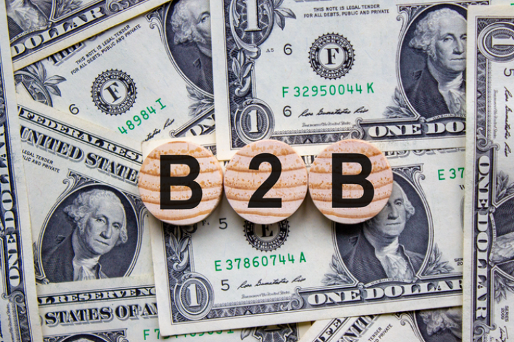 b2b payments
