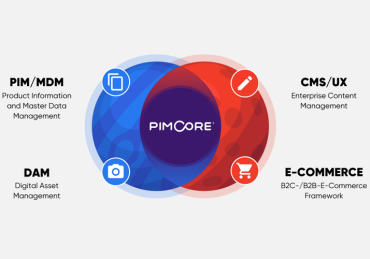 pimcore development