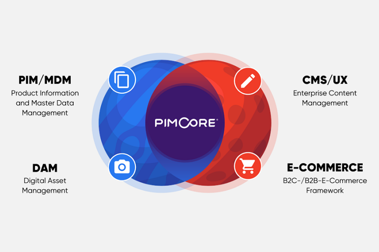 pimcore development