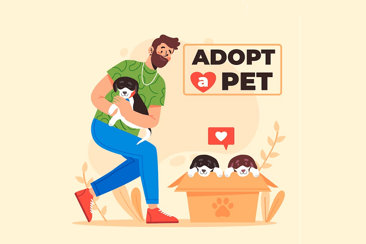 Adopting a Pet