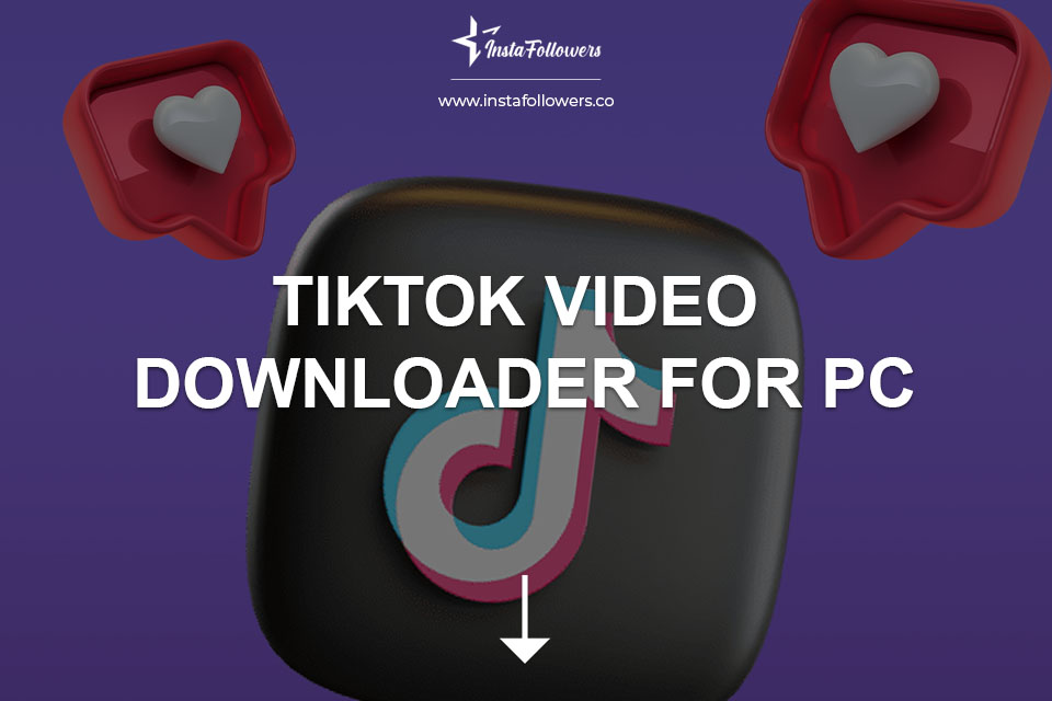 tiktok video downloader for pc