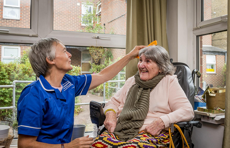 domestic care