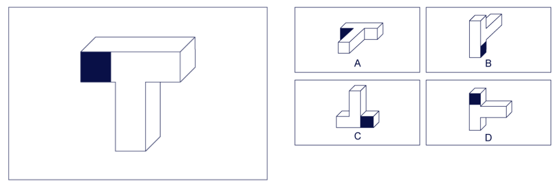 Spatial Ability Test