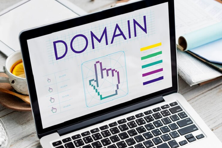 domain monitoring