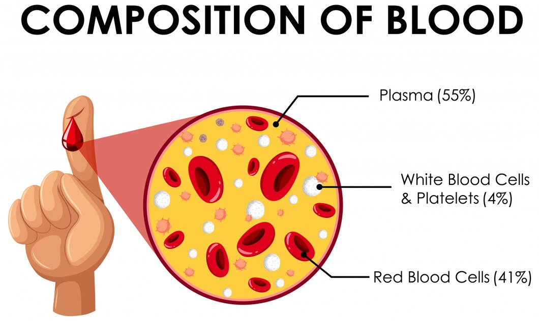 composition of blood