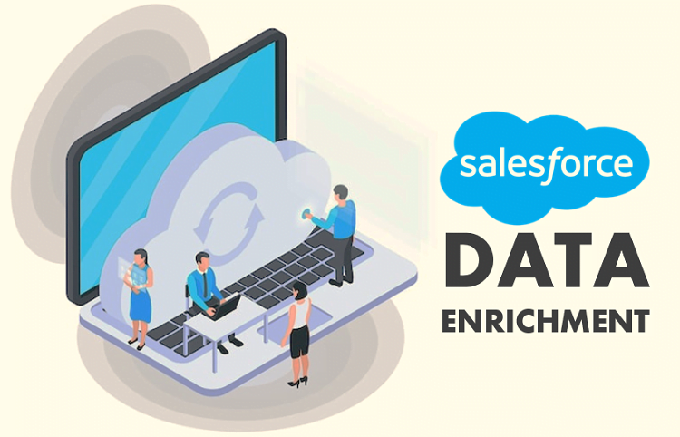 salesforce data enrichment