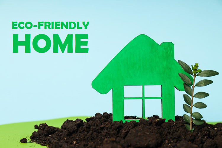 Making Your Home More Eco-Friendly