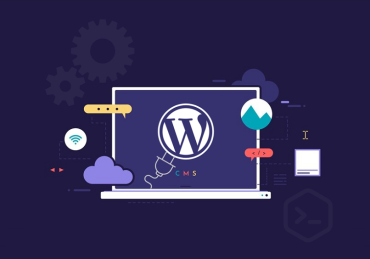 wordpress plugin development