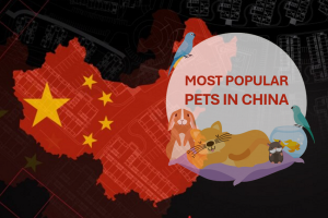 Popular Pets in China