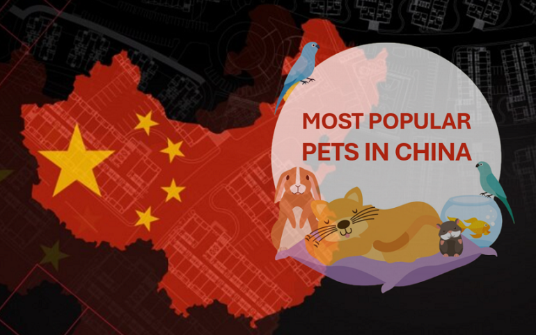Popular Pets in China
