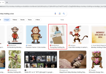 Monkey Holding Box Image: Google’s Image Search Blunder