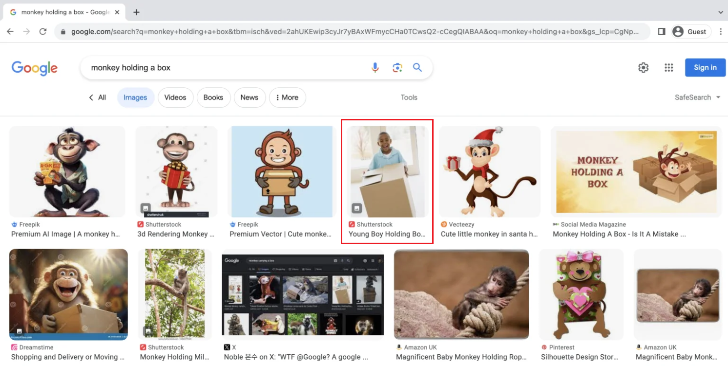 Monkey Holding Box Image: Google’s Image Search Blunder