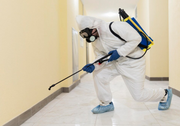 Treat Termites in Walls
