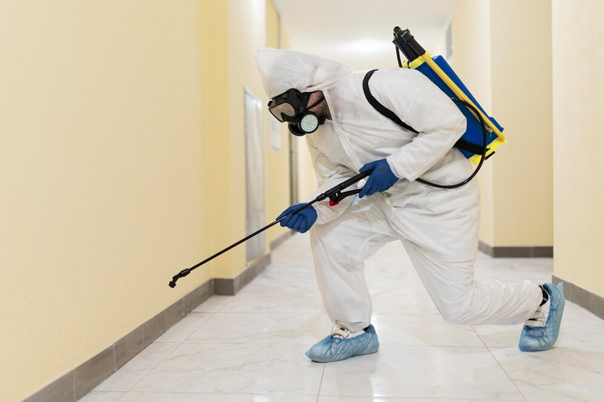 Treat Termites in Walls