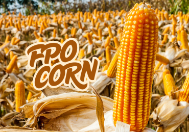 FPO corn
