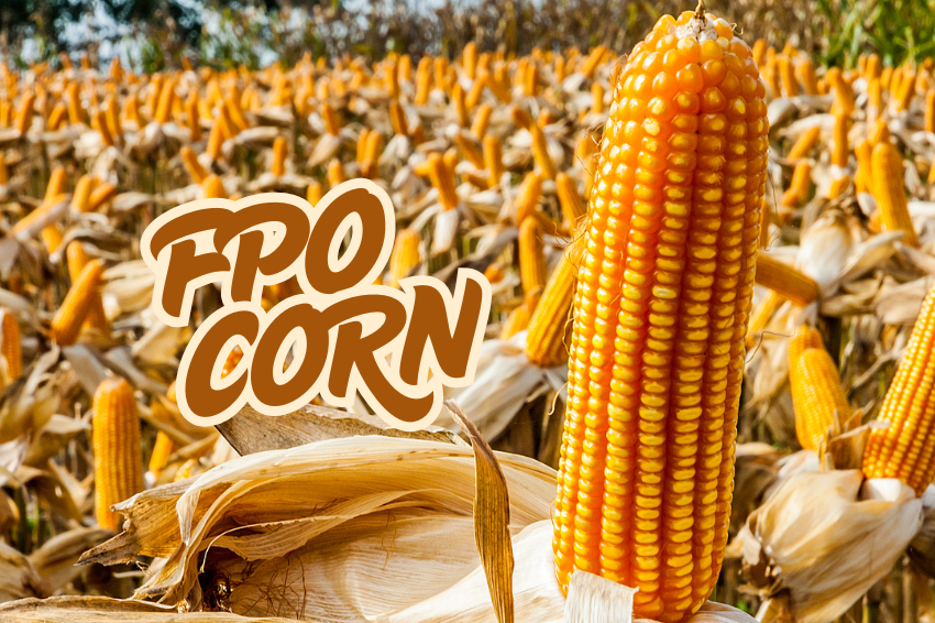 FPO corn