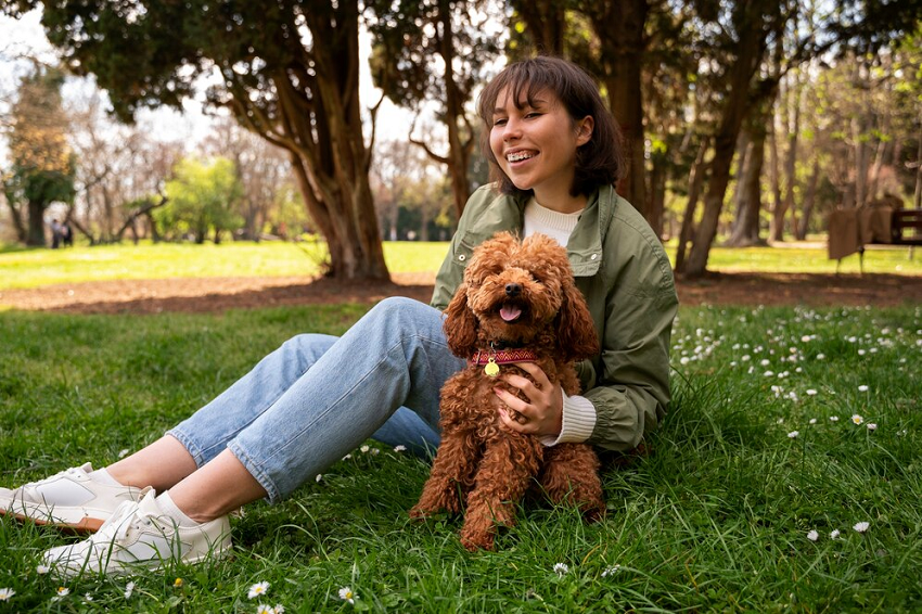 Poodle