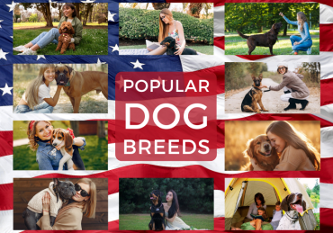 Popular Dog Breeds in the USA