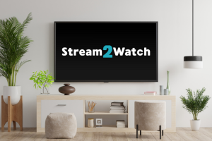 Stream2Watch