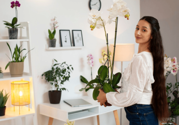 Decorate Your Home with Plants