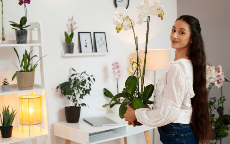 Decorate Your Home with Plants
