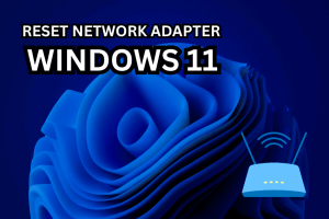 Reset Windows 11 Network Adapter