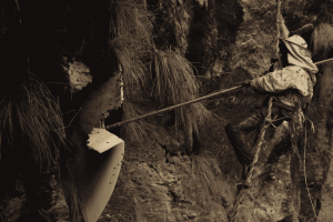Mad Honey Hunting