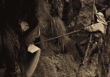 Mad Honey Hunting