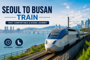 Seoul to Busan train